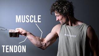 How To Build Finger Strength (SCIENCE EXPLAINED)