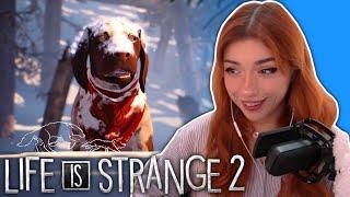 WE GOT A DOG | Life Is Strange 2 Episode 2