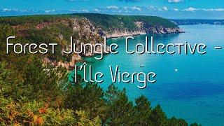 Forest: Jungle Collective - l'Île Vierge