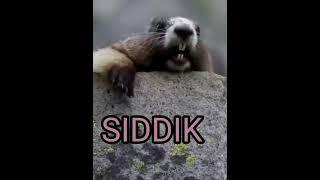 new name is Siddik viral name