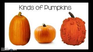 All About Pumpkins