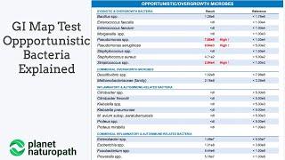 GI Map Test opportunistic bacteria