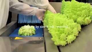 Romanesco Machinery - Ait - www.aitenet.com