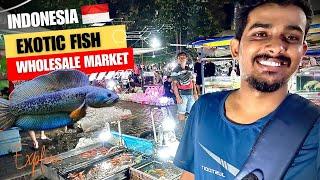 Asia Biggest Exotic Fish Market In Jakarta | Exploring Indonesian Ornamental Fish Market