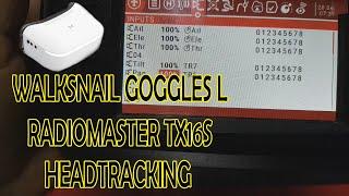 Walksnail Goggles L HeadTracking RadioMaster TX16S Setup EN Subtitles