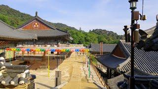 【4k Korea】Hongryudong Valley, Haeinsa Temple