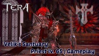 Tera | Velik's Sanctuary (Normal) | Priest lv. 65 | Gameplay