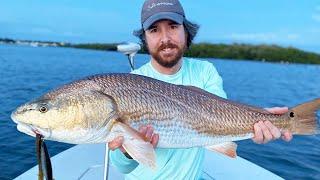 Here's How Fast You Should Retrieve Topwater Lures (For More Redfish, Snook, & Trout)