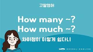 [76] 2권 Unit31 how much와 how many의 차이점은?