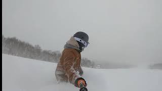 Catboarding - Niseko 2019. Niseko weiss powder cats