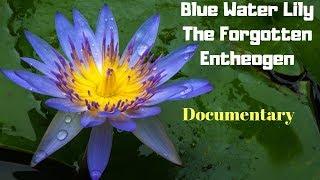 BLUE WATER LILY | Blue Lotus | The Forgotten Entheogen ( DOCUMENTARY )