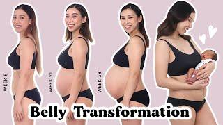Pregnancy Transformation - Week by Week  | TINA YONG