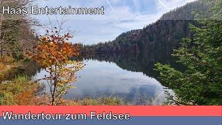 Wandertour um den Feldsee im Schwarzwald