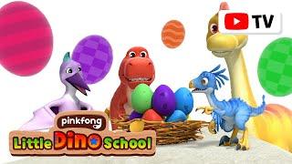 [TV for Kids] Special Dino Eggs | Play and Learn  | Pinkfong Dinosaurs for Kids