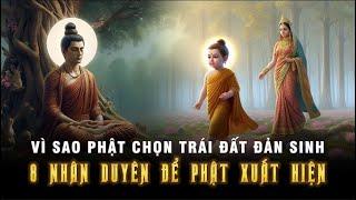 Vì sao Đức Phật trọn Trái Đất để Đản Sinh - 8 Nhân Duyên Để Đức Phật Xuất Hiện