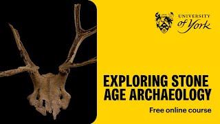 Exploring Stone Age archaeology (free online course)