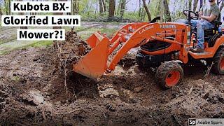 Kubota BX Clearing land + Removing a stump