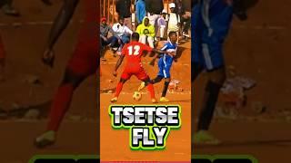 TS-TS-TS-Tsetse Fly - Aviator #kasifootball #youtubechamps