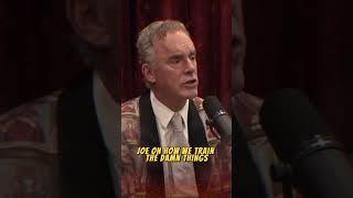 AI Ethics and Society: Jordan Peterson and Joe Rogan Discuss #jordanpeterson #joerogan