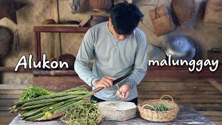 Harvesting Himbabao and horseradish fruit PAKBET ilocano dish | alukon ,malunggay | Kabagis new vlog