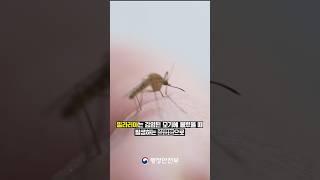 [#1주1안전] 서울에 내려진 #말라리아 주의보?! #모기 조심하세요~ㅣ안전한TV