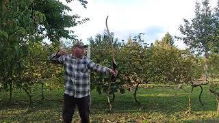 Harpoon Recurve bow
