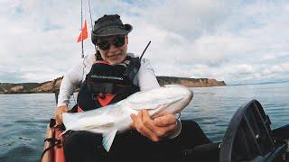 Kayak Fishing Nice Yellowtail Kingfish