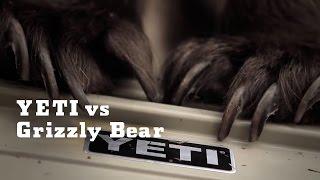 YETI vs. Grizzly Bear | YETI Coolers