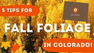 5 Tips for Fall Foliage in Colorado (From a Local!)