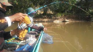 Ganasnya..!! Rekor terbesar monster babon mancing udang galah