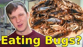Why We Won't be Eating Bugs in the Future