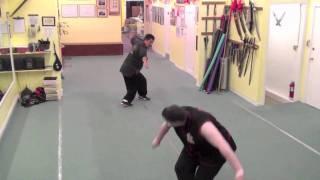 Choy Li Fut - Seh Hok Kuen Dwei Cheuk - Snake vs Crane Two Person Set