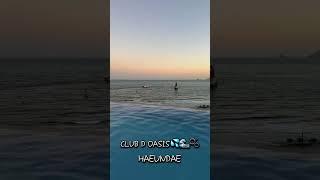 어디까지 가봤니?| 클럽디오아시스, 해운대, Haeundae Infinity Pool @clubdoasis#오늘뭐하지 #부산