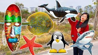 Changcady goes to Vin Wonder, many games, aquarium with fishes, starfish, penguins