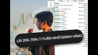 Trader lãi 25 và 70%/1 tuần nhờ Vàng. Xem để hiểu như thế nào là quản lý vốn? Cùng check MQL5 Coppy.