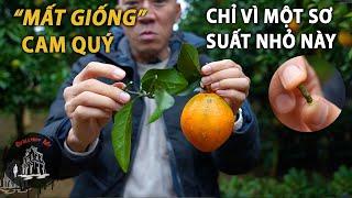 Ngành nông nghiệp ÚC thiệt hại NẶNG vì một bác nông dân VIỆT NAM