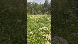 Все ради вас)))