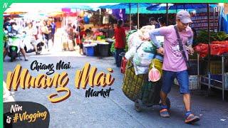 Biggest Food Market in Chiang Mai Thailand - Muang Mai Market