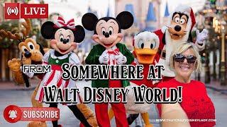 Somewhere at Walt Disney World 11/20/24 #live