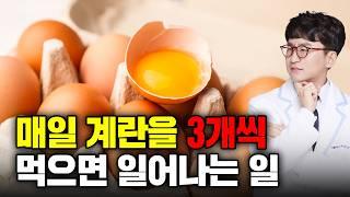 매일 계란을 먹으면 일어나는 일 | 건강상식 8가지(계란 보관법, 팽이버섯 생식, 노른자 콜레스테롤, LDL 콜레스테롤, 위생, 식물성 오메가3, 골다공증 칼슘, 과일주스와 건강)