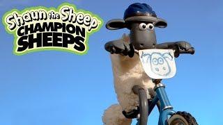 Xe đạp mạo hiểm BMX | Championsheeps | Những Chú Cừu Thông Minh [Shaun the Sheep]