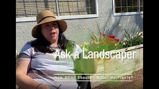 How much should I water plants? | Ask a Landscaper