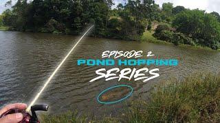 Pond Hopping Series - Ep 2 - Searching for that GIANT BASS - Bass fishing South Africa