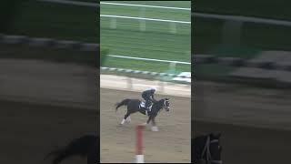 Forte Galloping at Belmont on 6/6/23