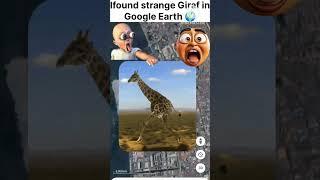 lfound strange Giraf in Google Earth #earth #map #viralvideo #youtubeshort #giraffe #gooleearth