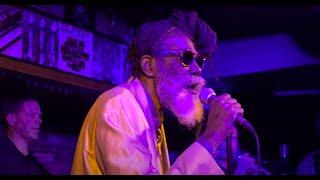 Don Carlos with Dub Vision - 'Mr. Sun' @ Reel Fish Shop Sonoma, CA (4/21/18)