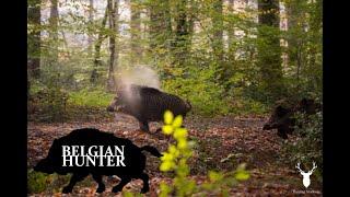 Driven wild boar hunting France