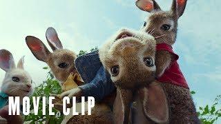 Peter Rabbit - Look Away Clip - Starring Sia as Mrs Tiggy-Winkle