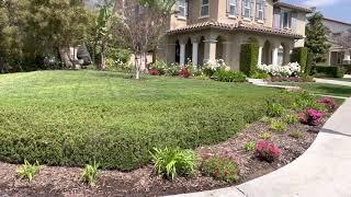 LA Suburb City of Azusa Residential Area Landscaping Tour