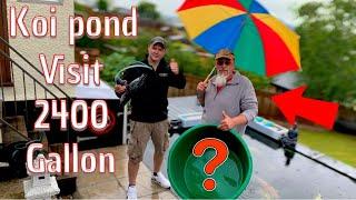 A POND VISIT STUNNING 2400 GALLON KOI POND ***devon koi on YouTube ***